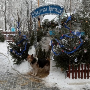 Фото от владельца Храм Рождества Пресвятой Богородицы