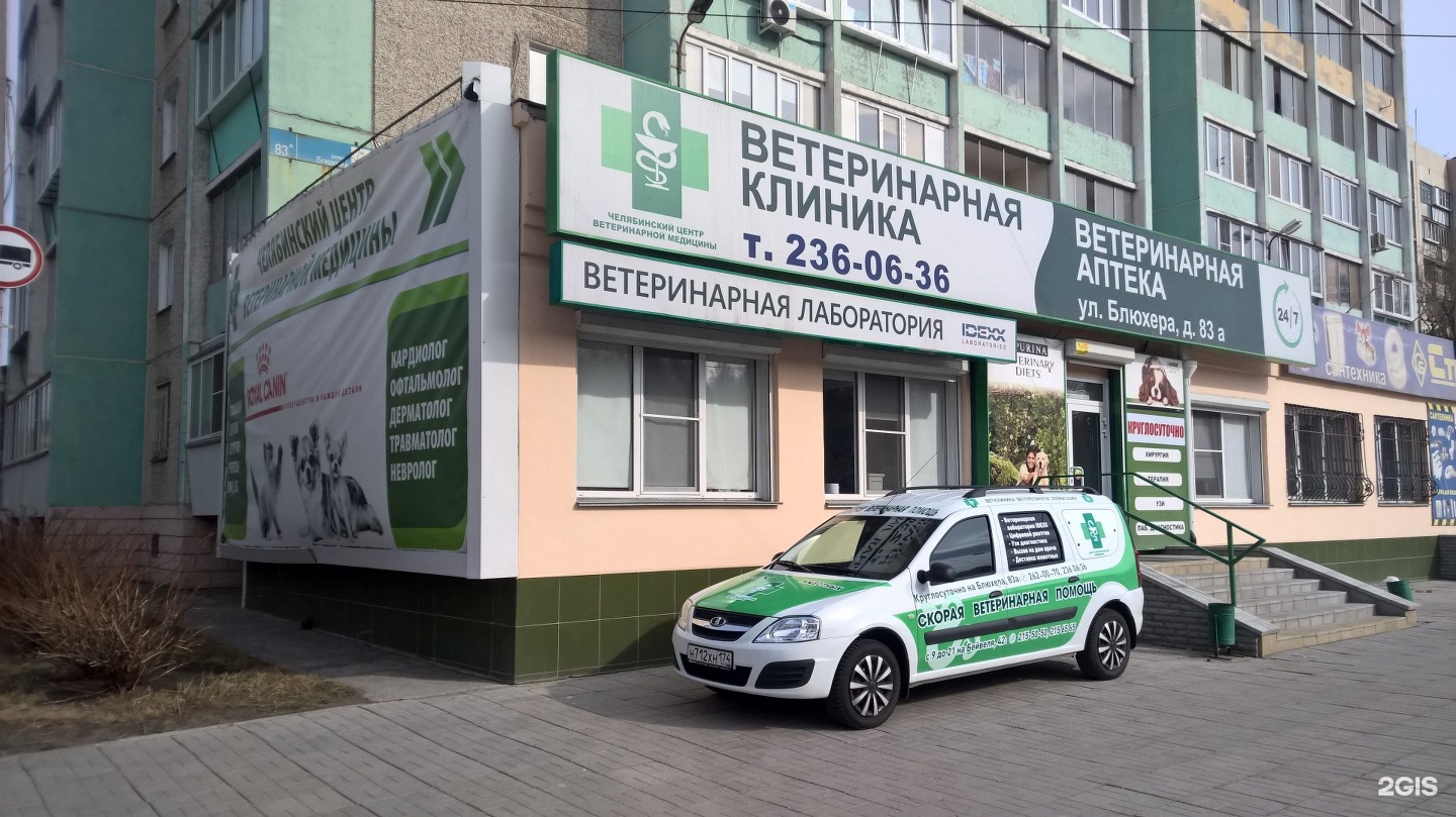Ветеринарная клиника в Челябинске на Блюхера 83а