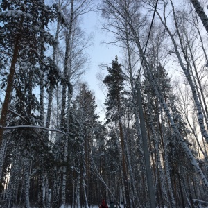 Фото от владельца Металлург, парк им. О.И. Тищенко