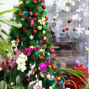 Фото от владельца Фан-Фан, сеть салонов цветов и праздничных услуг
