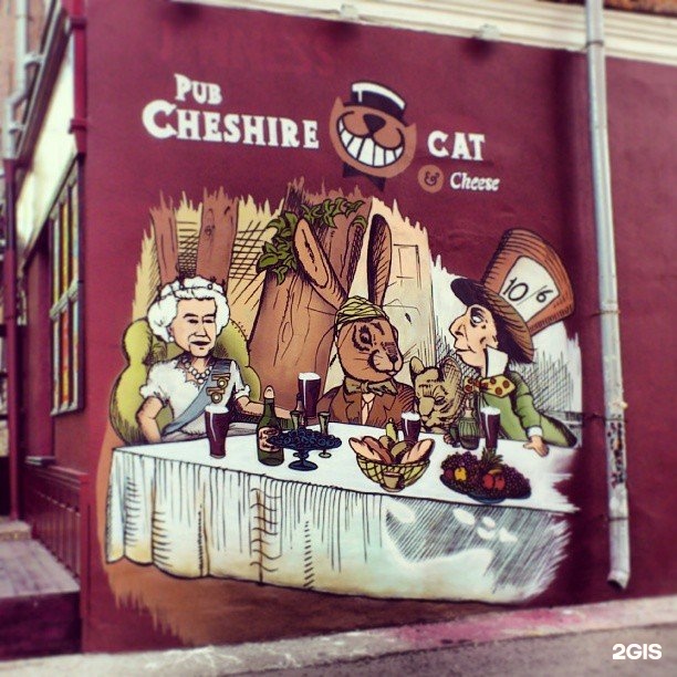 Cat pub