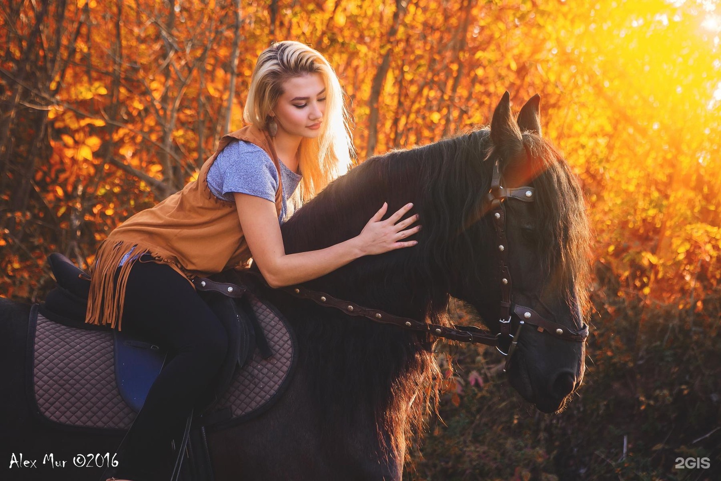 Любимая конюшня. Верховая езда девушки. Конный клуб любимая конюшня Уфа. Фриз фотосессия осенью.