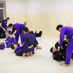 Фото от владельца Jungle BJJ, первая международная школа бразильского джиу-джитсу