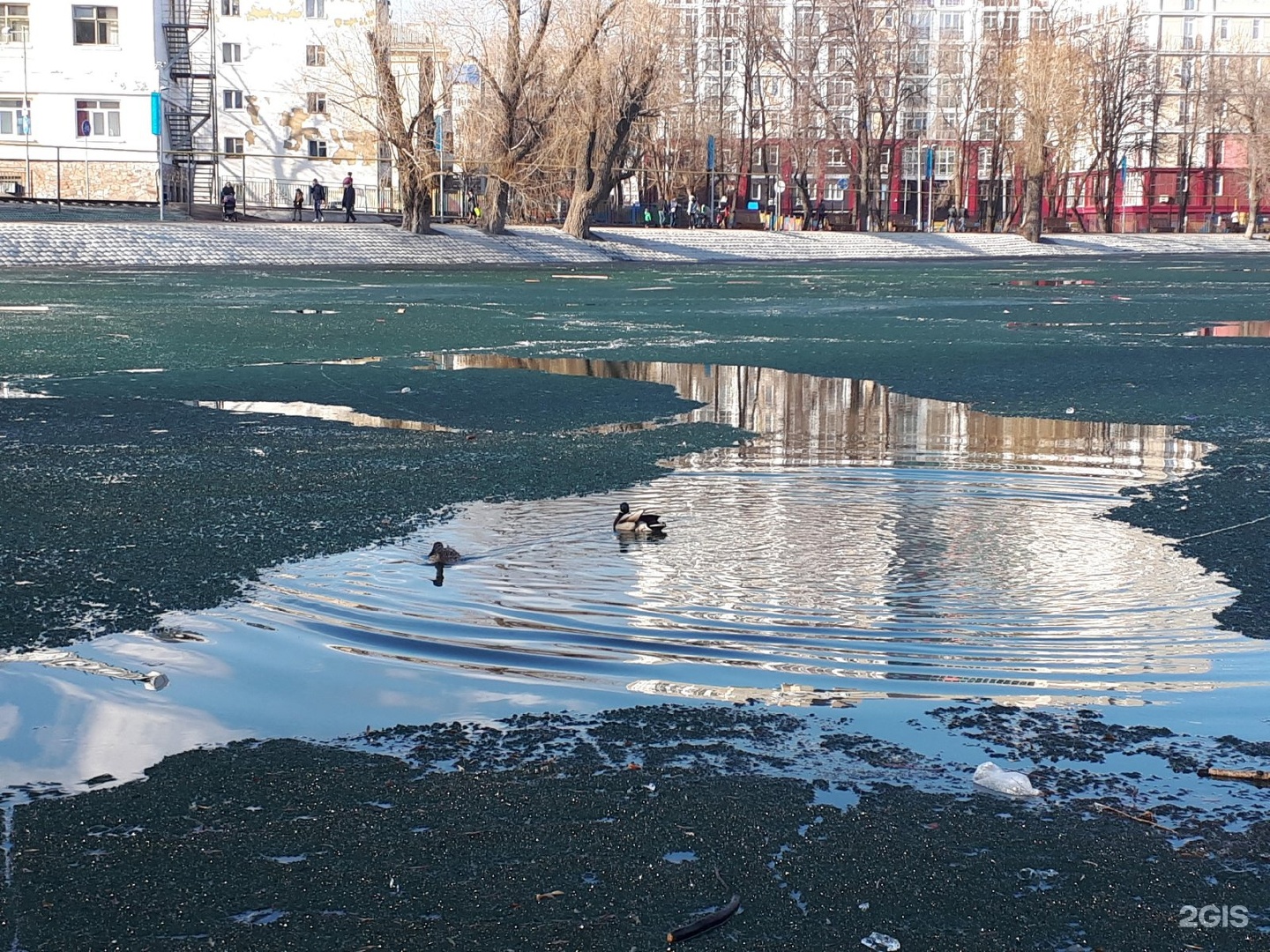 Погода якутова. Парк Якутова.