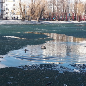 Фото от владельца Парк им. И. Якутова