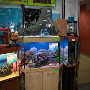 Фото от владельца Водный мир, магазин аквариумов
