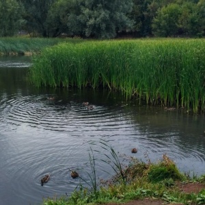 Фото от владельца Воронежские озера, парк