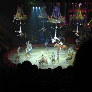 Фото от владельца Нижегородский цирк