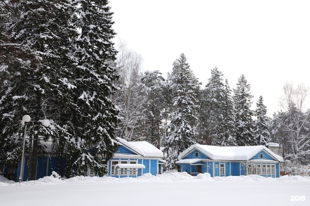 Нижний новгород зеленая. Санаторий зеленый городок Нижегородская область. Нижний Новгород пансионат зеленый город. Сан зеленый город Нижний Новгород. Санаторий зеленый город Нижний.