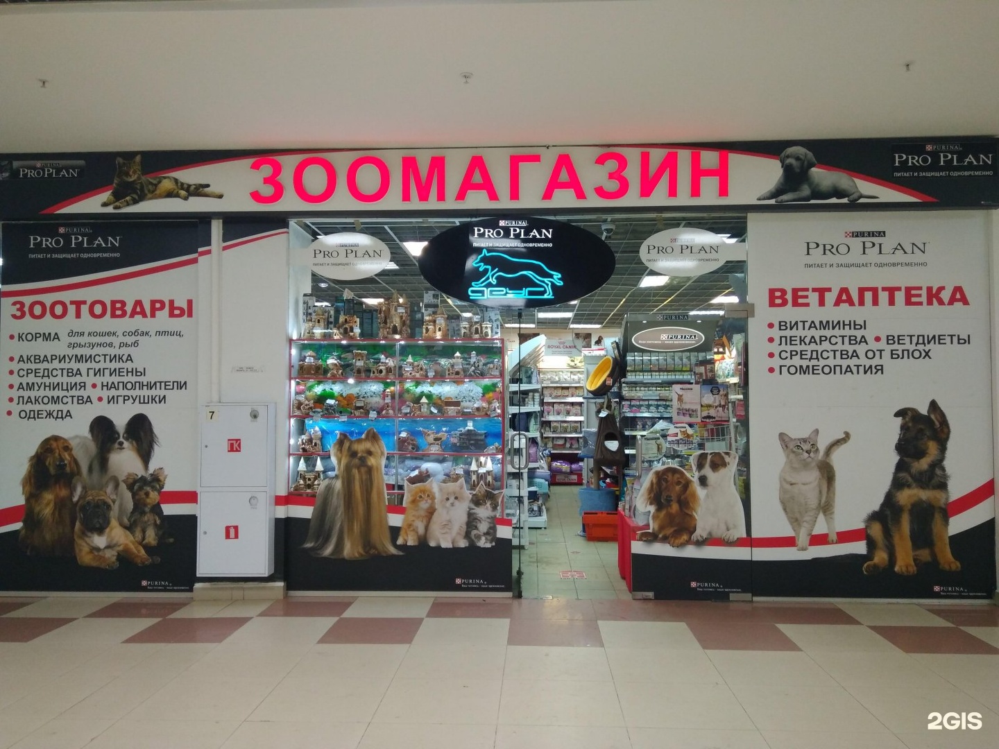 Магазин Зоодруг Нижний Новгород Каталог Товаров