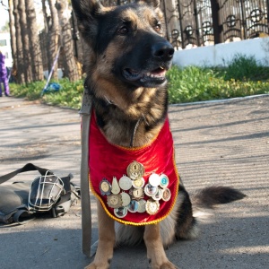 Фото от владельца Областной центр спортивно-служебного собаководства