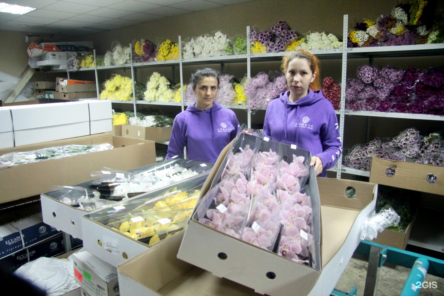Цветов, оптовая продажа цветов казани