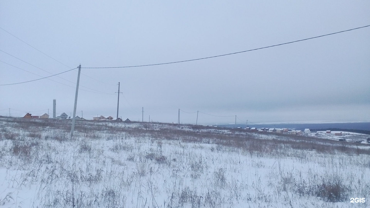 тсн раздолье