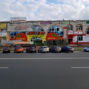 Фото от владельца Чиполлино, сеть садовых центров