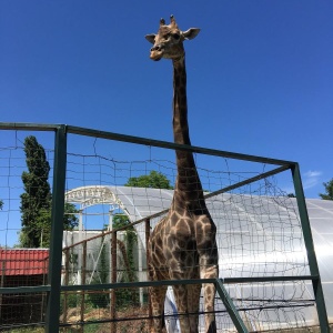 Фото от владельца Солнечный остров, парк культуры и отдыха