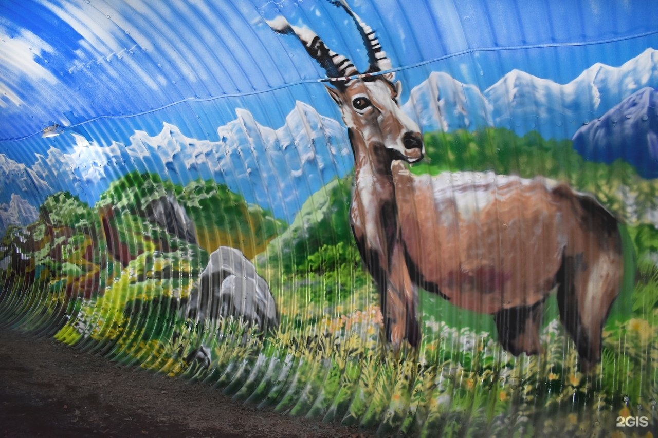 Звери сочи 2024. Рисунок парка в Сочи с животными. Сочинский нацпарк нарисовать. Стрит арт Сочи.