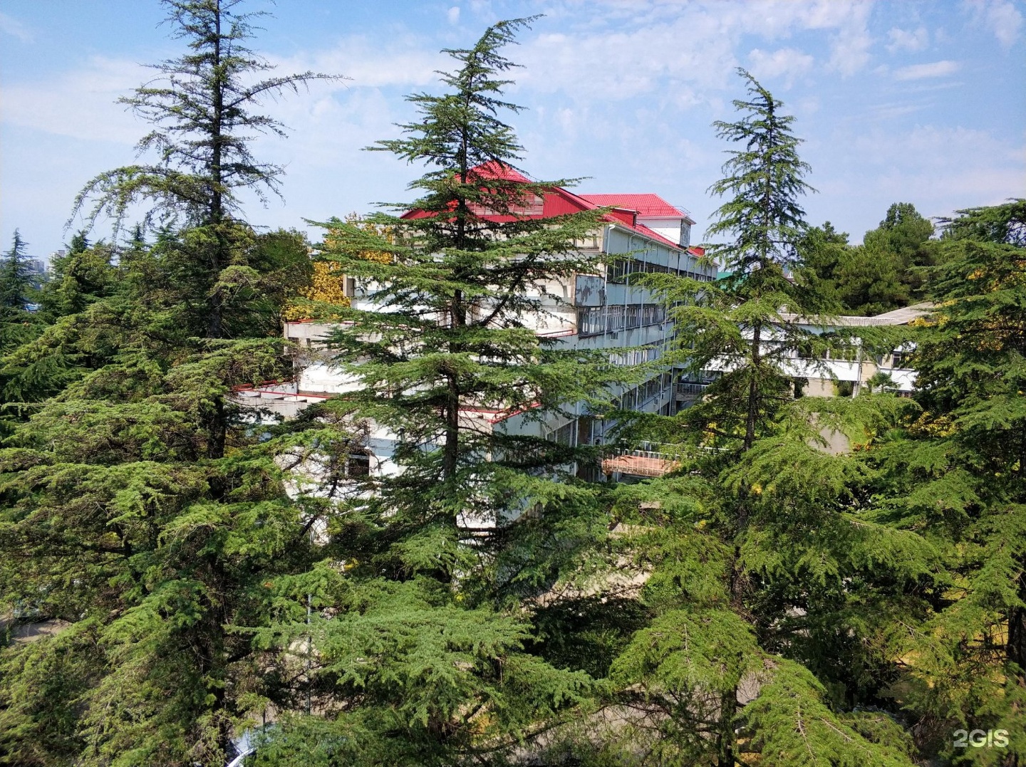 квд 2 сочи. кожвендиспансер сочи. квд 2 сочи. госпиталь 2135 сочи. квд сочи.