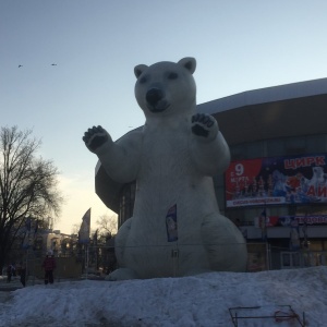 Фото от владельца Воронежский государственный цирк им. А.Л. Дурова