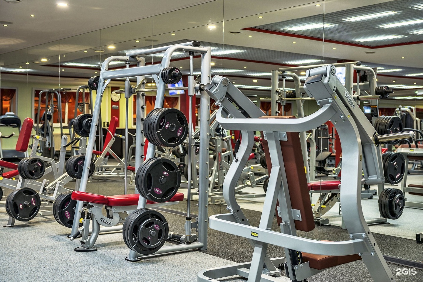 спортивные клубы королев. ворлд класс лайт королев. территория фитнеса королев. Fight zone королев. спортивные клубы королев.