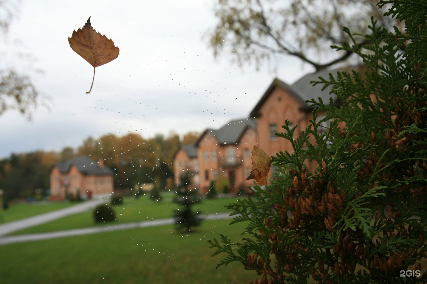 оздоровительный комплекс архангельское