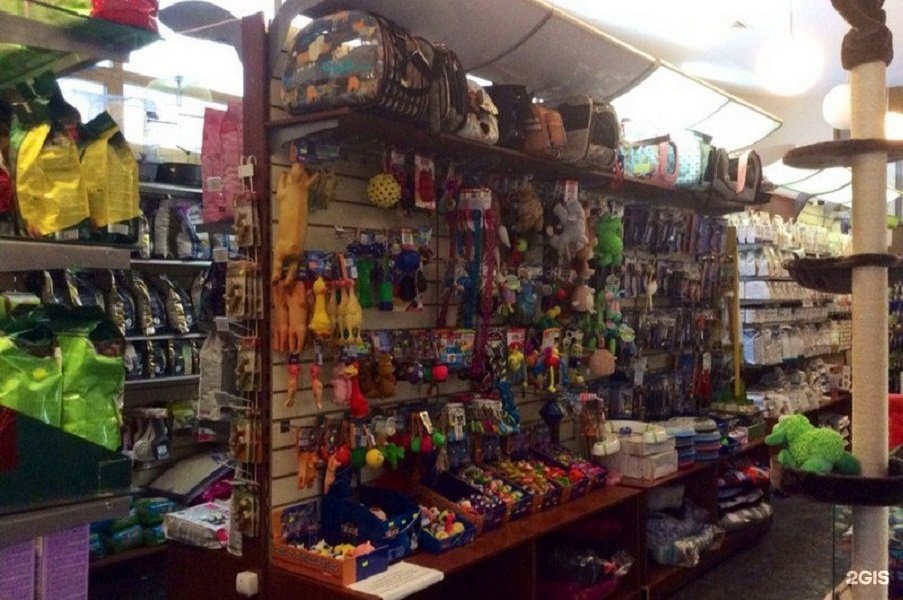 стоматология мичуринский проспект. семейный доктор кудрово. ветеринарная клиника мичуринский проспект 8. ветеринарная клиника мичуринский проспект. москва семейный доктор мичуринский проспект 34.