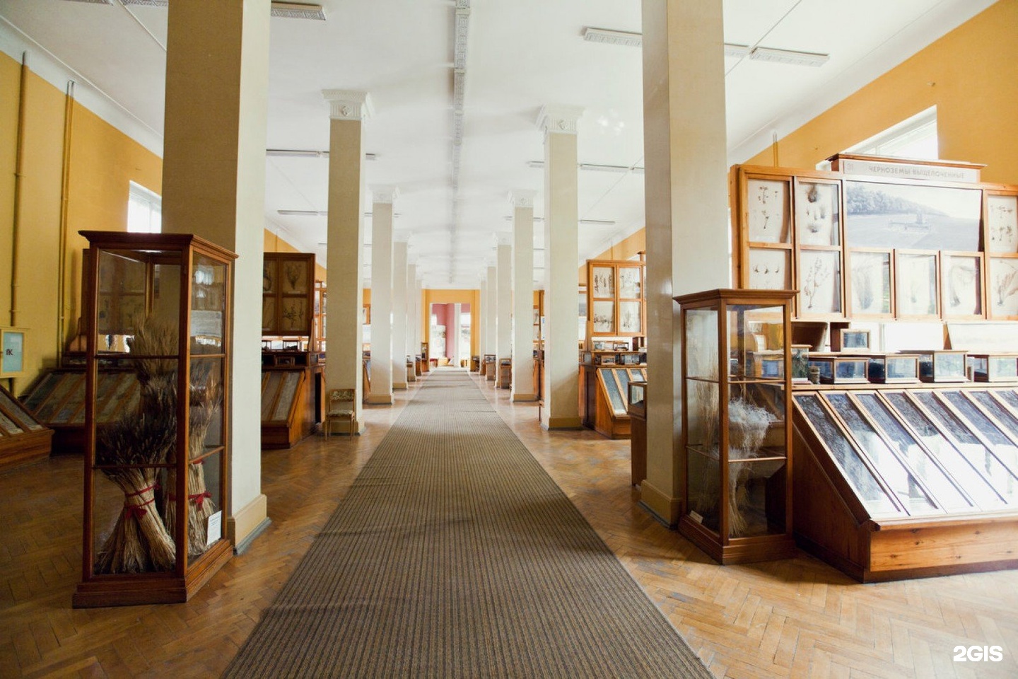 тимирязевский музей экспонаты