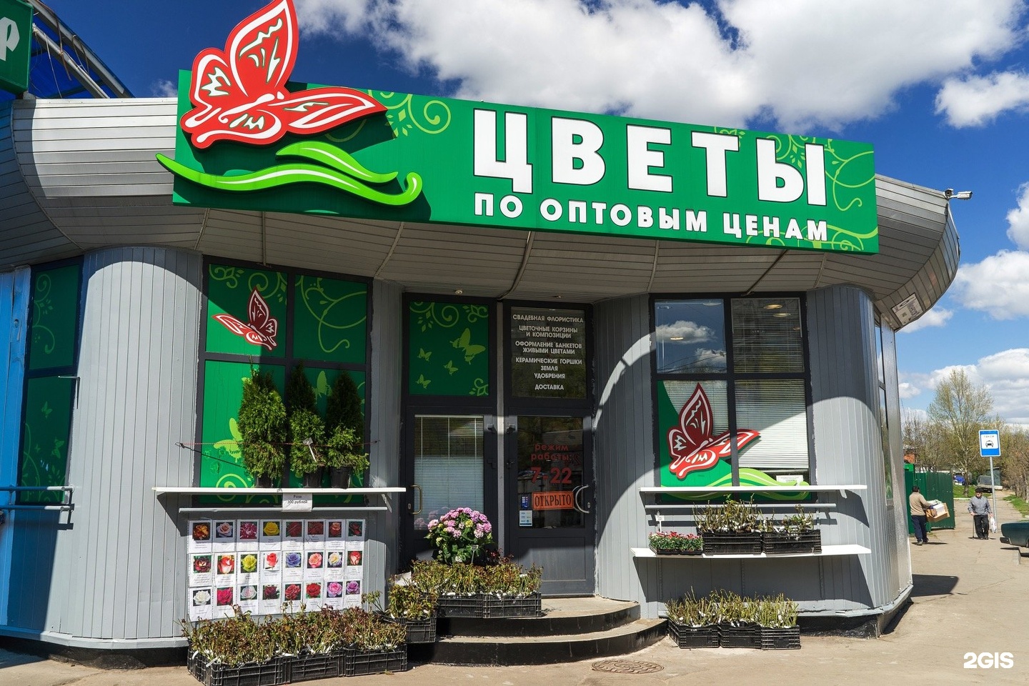 Купить цветы на янгеля