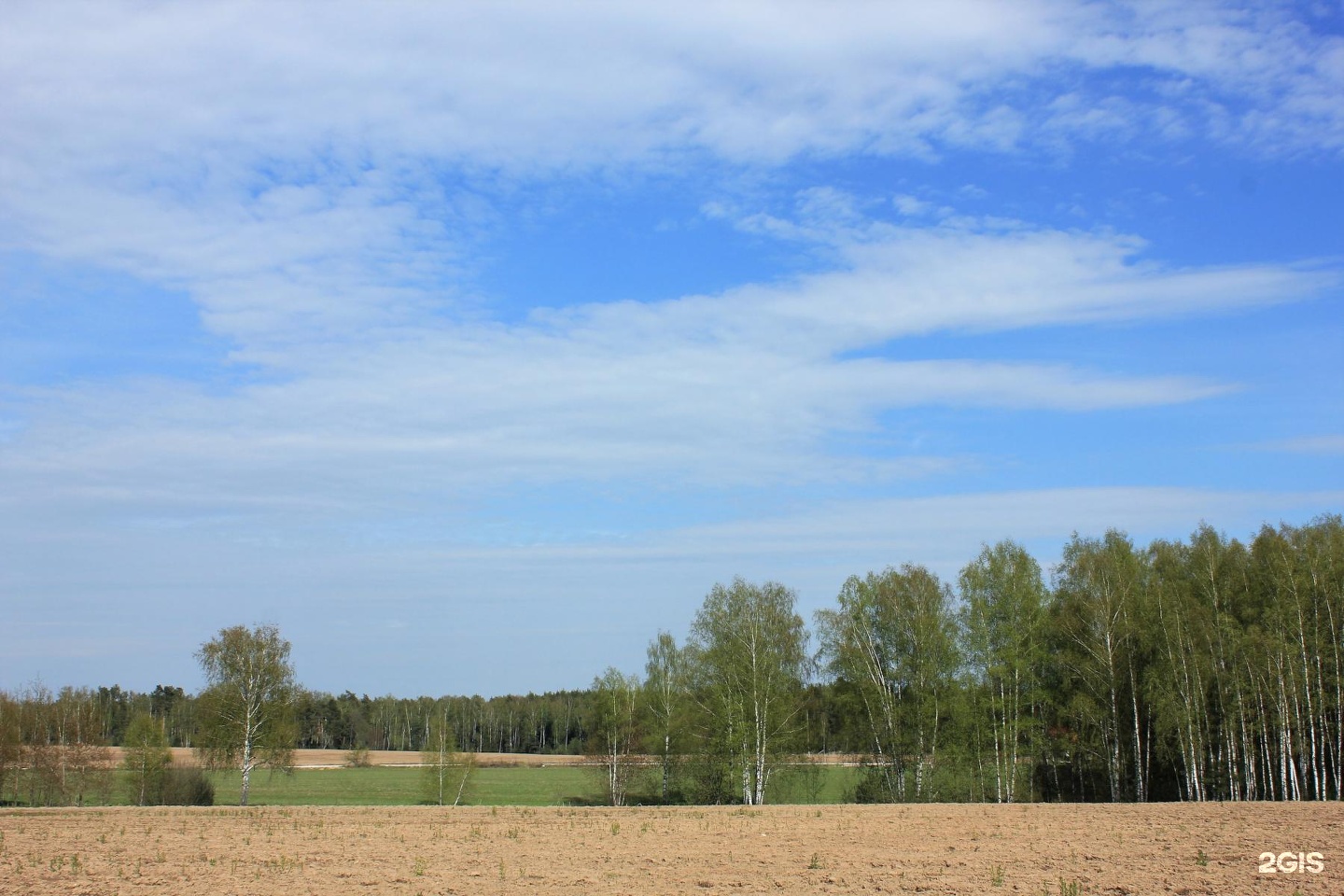 Комплекс село. Орлово поле Хабаровск. Орловское подворье. Конюшня в Орлово Щелковский район. Орлово Кубанский