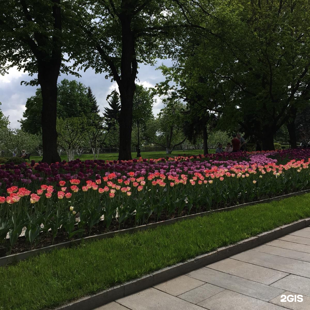 Кассы кремля в александровском саду. Тайницкий сад Московского Кремля. Тайницкий сад Московского Кремля птичники. Фонд Тайницкий сад. Тайницкий сад план.