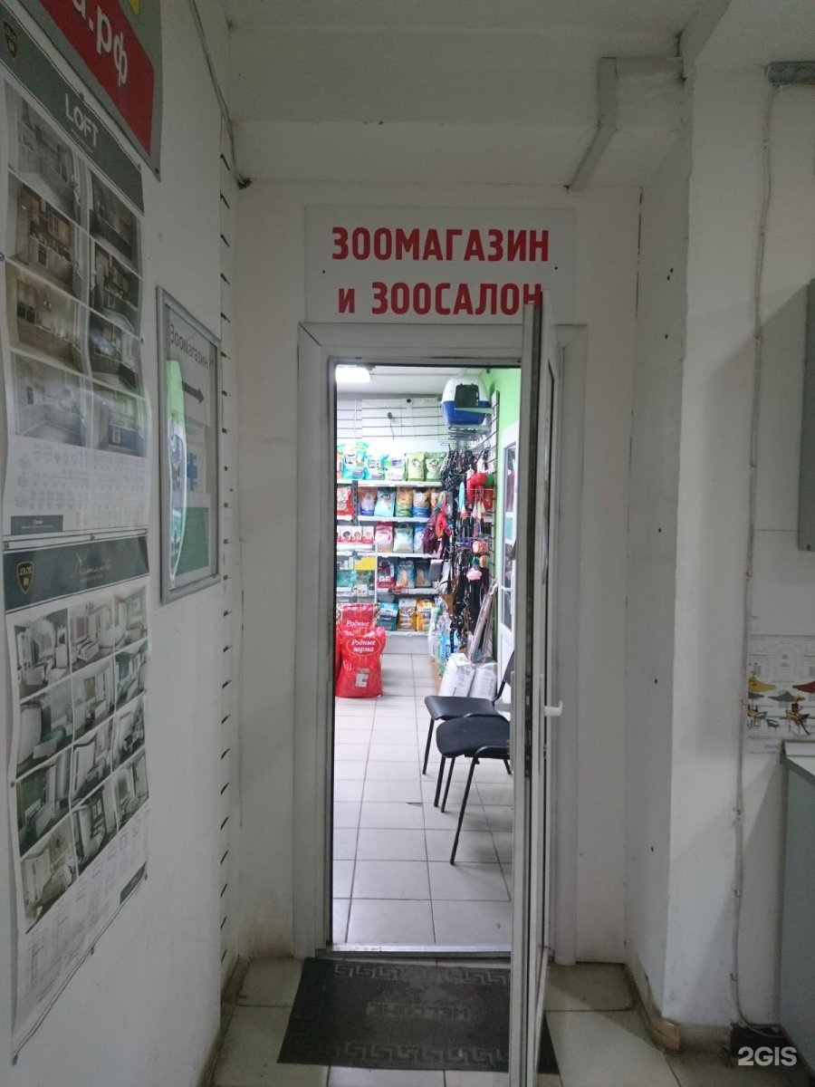 Ул ташкентская 18 4. Зоомагазин на Ташкентской 18. Зоомагазин на Ташкентской. Зоомагазин в Ташкенте. Ташкентская 18к1.