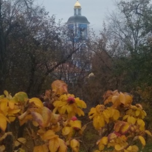 Фото от владельца Храм иконы Божией Матери Живоносный Источник в Царицыно