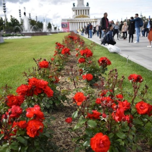 Фото от владельца ВДНХ, ОАО