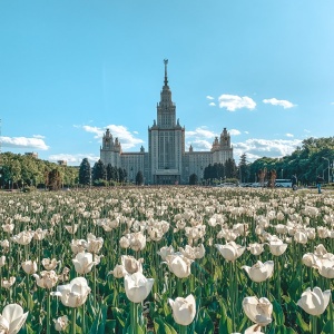 Фото от владельца Московский государственный университет им. М.В. Ломоносова