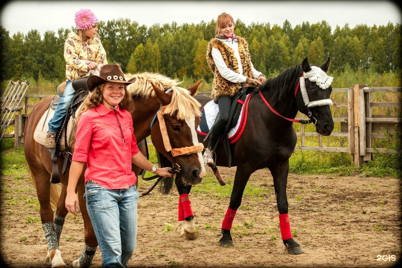 Хорс конный клуб. Конный клуб Royal Horse, деревня Клюшниково. Конный клуб Мытищи. Конный клуб Муром.