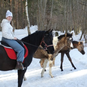 Фото от владельца Royal Horse, конный клуб