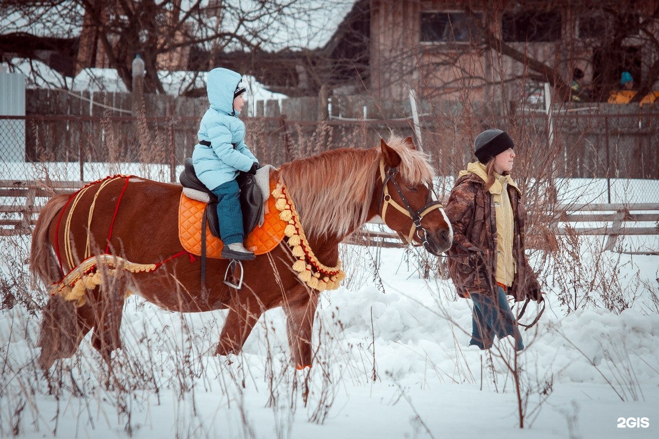 Конный клуб Royal Horse, деревня Клюшниково. Роял Хорс Кострома конный клуб. Челябинская область конный клуб. Мустанг конный завод.