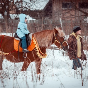 Фото от владельца Royal Horse, конный клуб