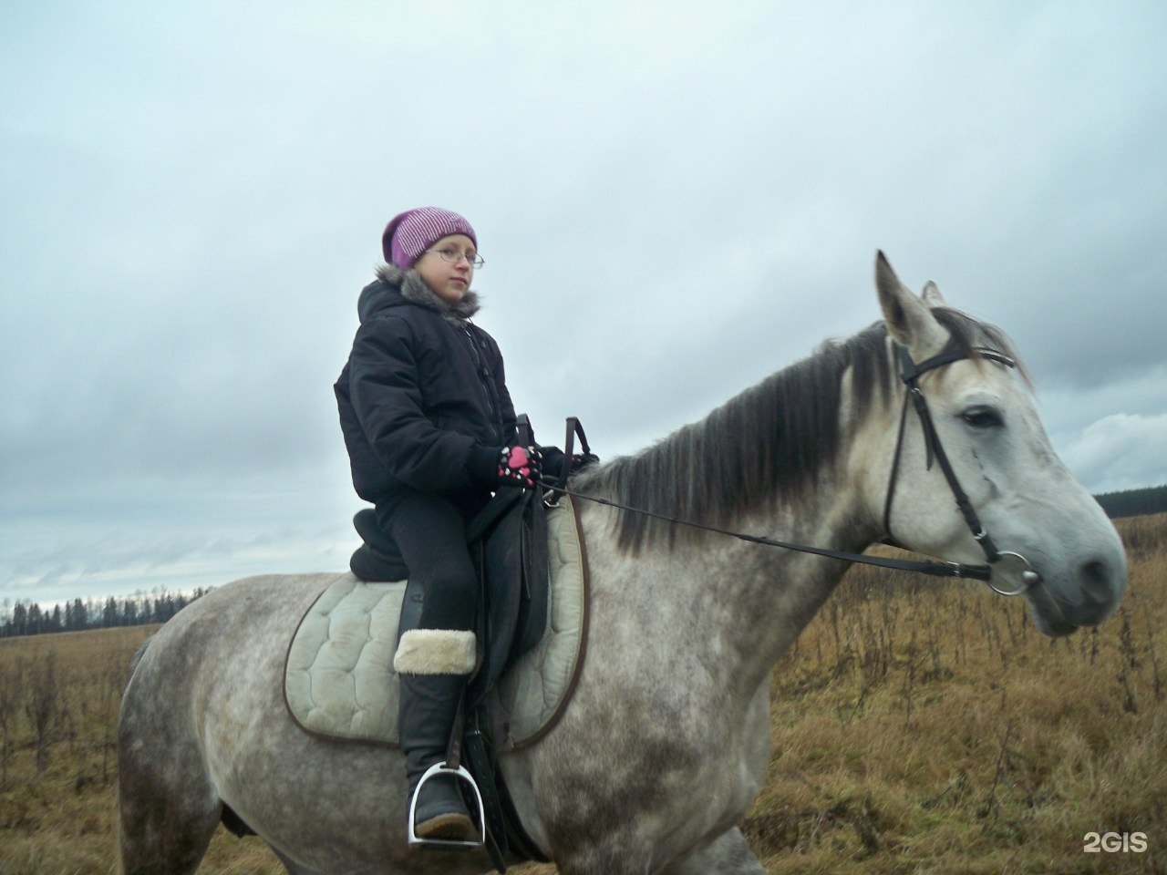 Конный клуб "Golden Horse. Анапа Хорс конный клуб.