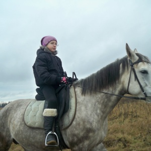 Фото от владельца Royal Horse, конный клуб