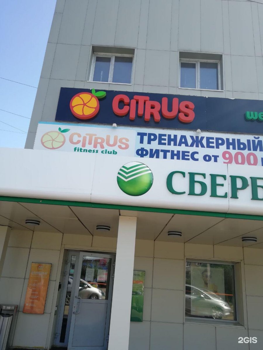 Citrus fitness ул чичерина 2. Фитнес Новокубанск цитрус. Цитрус фитнес Челябинск. Цитрус Майкоп фитнес.