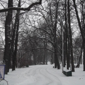 Фото от владельца Центральный парк культуры и отдыха им. С.М. Кирова