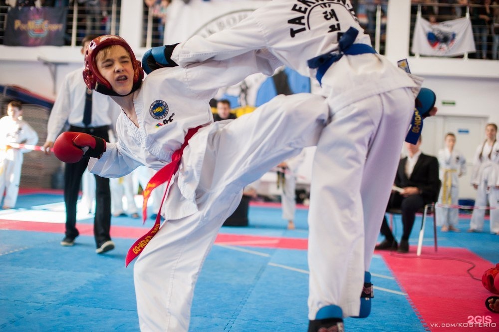 Фото тхэквондо ястреб. Тхэквондо питер. Тхэквондо питер. Грифон тхэквондо энгельса 93. Школа тхэквондо.