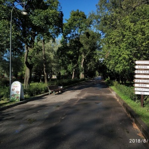 Фото от владельца Парк культуры и отдыха им. И.В. Бабушкина