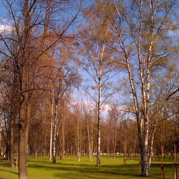 Московский парк победы