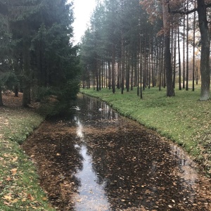 Фото от владельца Царское Село, государственный музей-заповедник