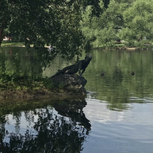 Фото от владельца Московский парк Победы