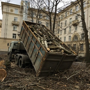 Фото от владельца КОТ, ООО, компания по содержанию зданий и территории