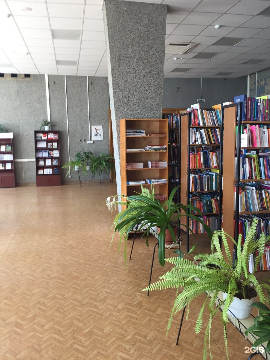 Шишковка библиотека Барнаул. Библиотека Шишкова Барнаул. В. Я.Шишков библиотека Барнаул. Сайты библиотек барнаула