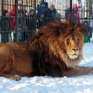 Фото от владельца Лесная сказка, Барнаульский зоопарк