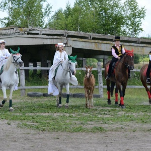 Фото от владельца Rauschen, конно-спортивный комплекс